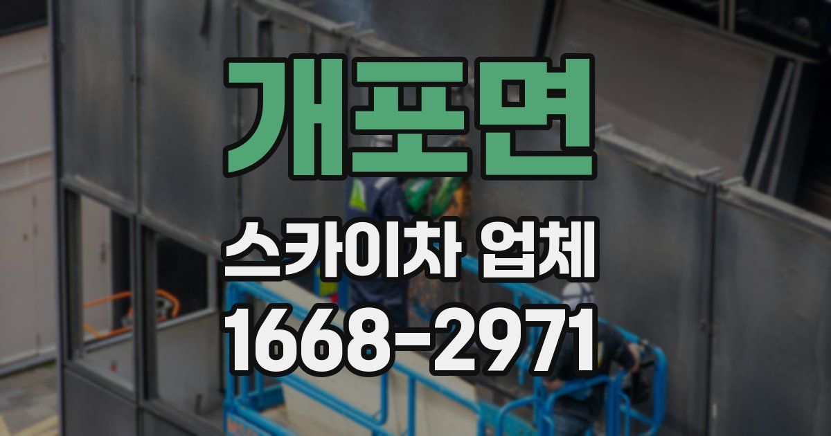 개포면 스카이차 업체