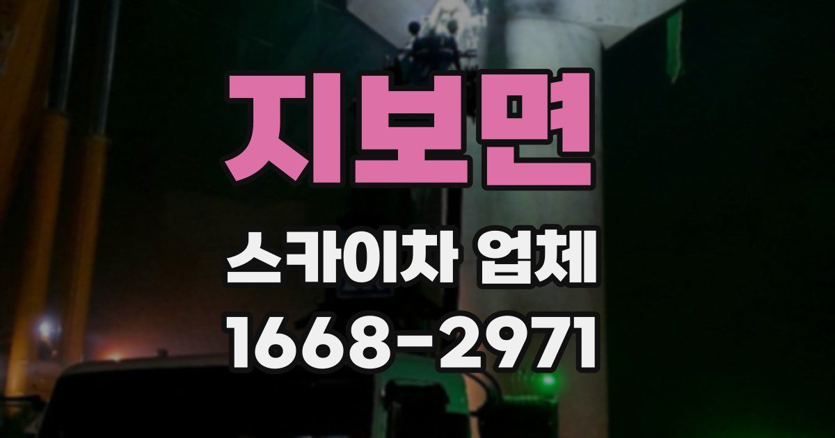 지보면 스카이차 업체