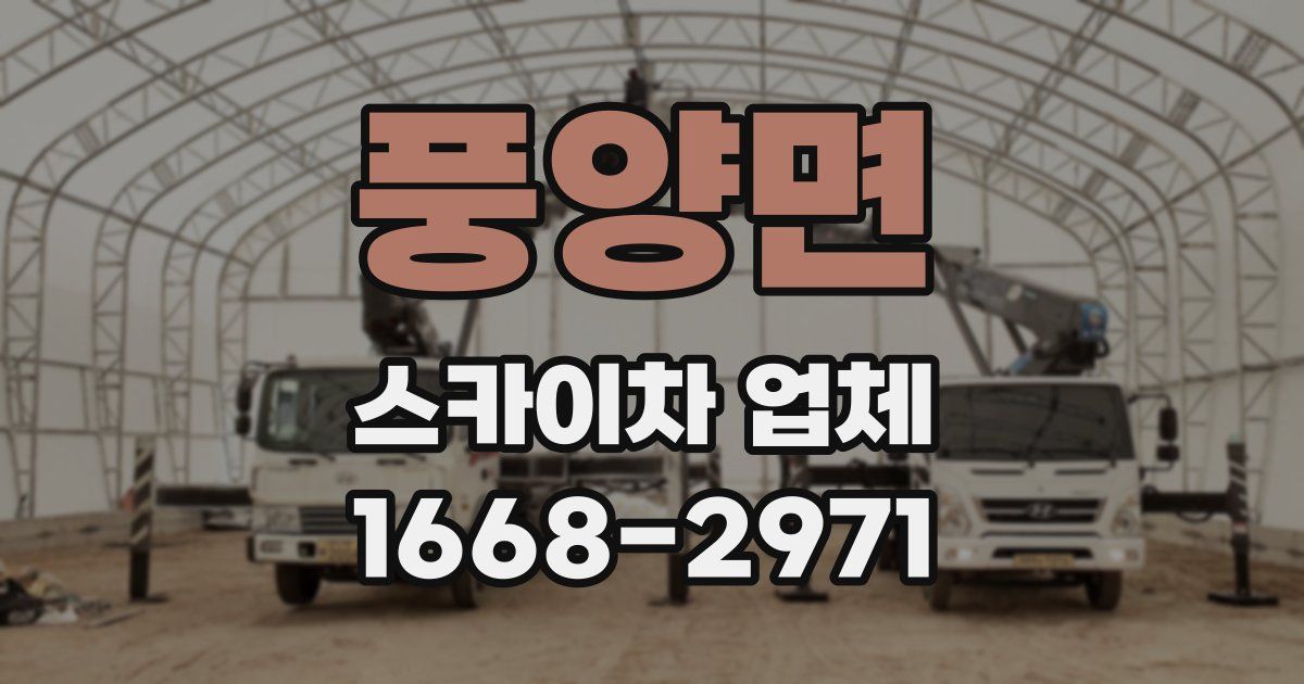 풍양면 스카이차 업체