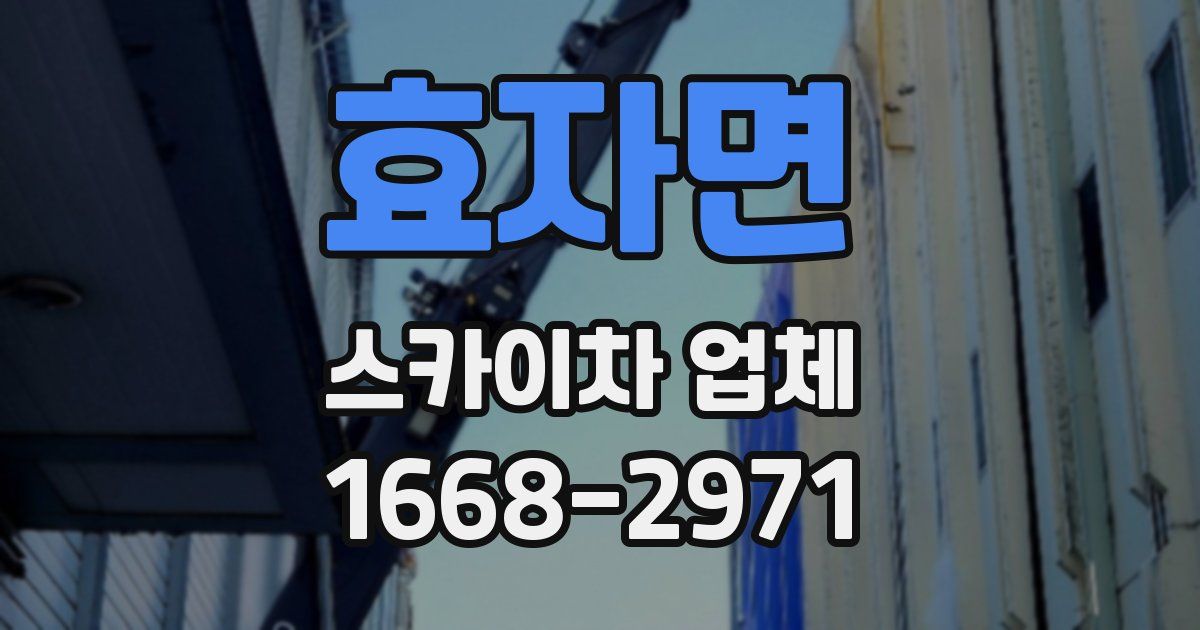 효자면 스카이차 업체