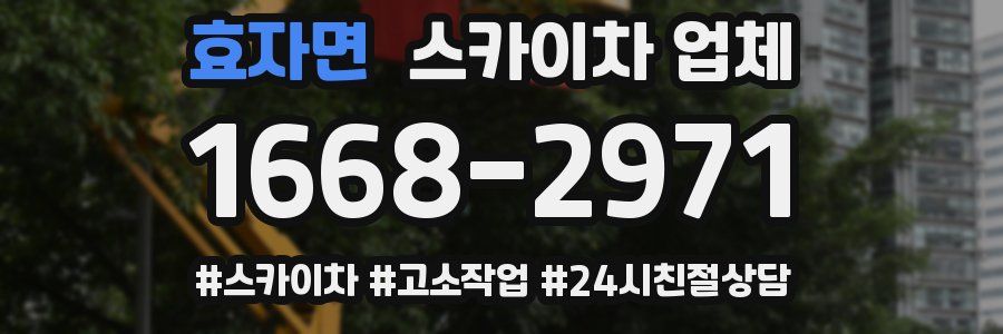 효자면 스카이차 업체