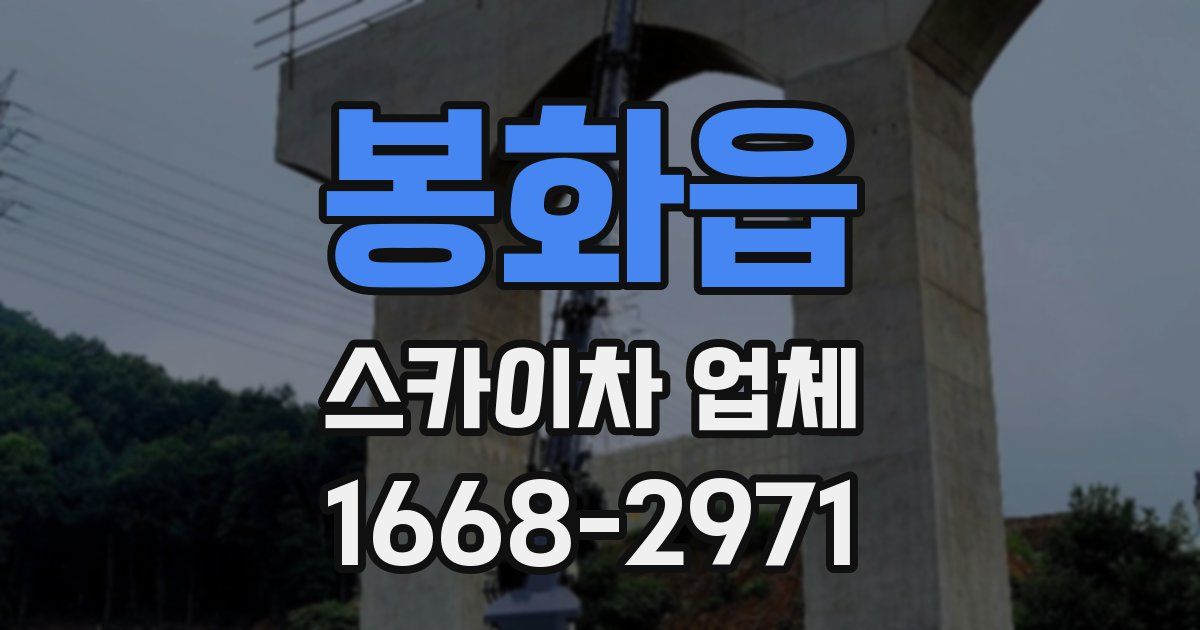 봉화읍 스카이차 업체