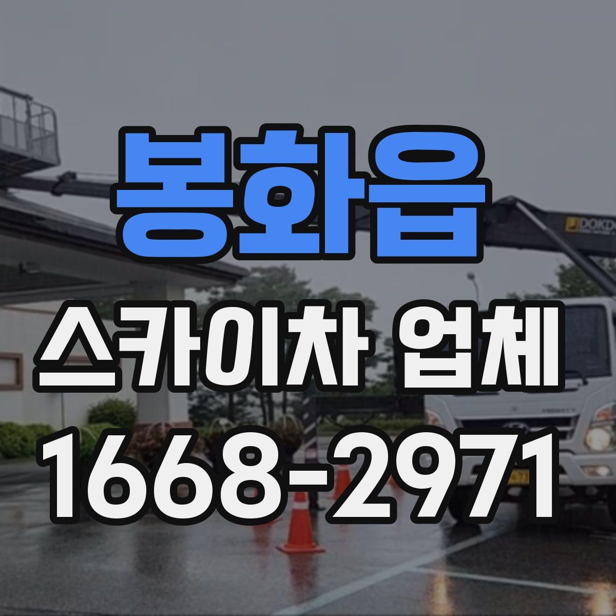 봉화읍 스카이차 업체