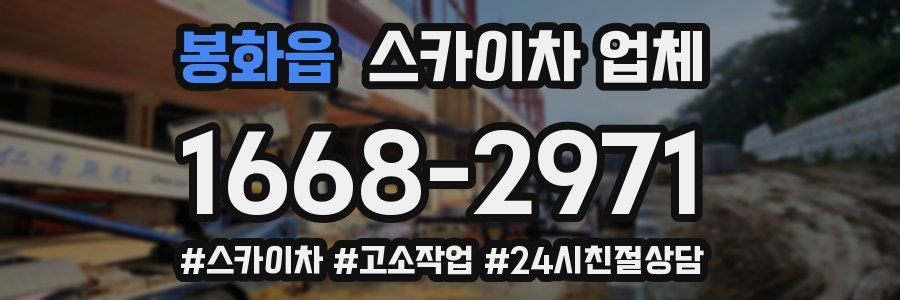 봉화읍 스카이차 업체