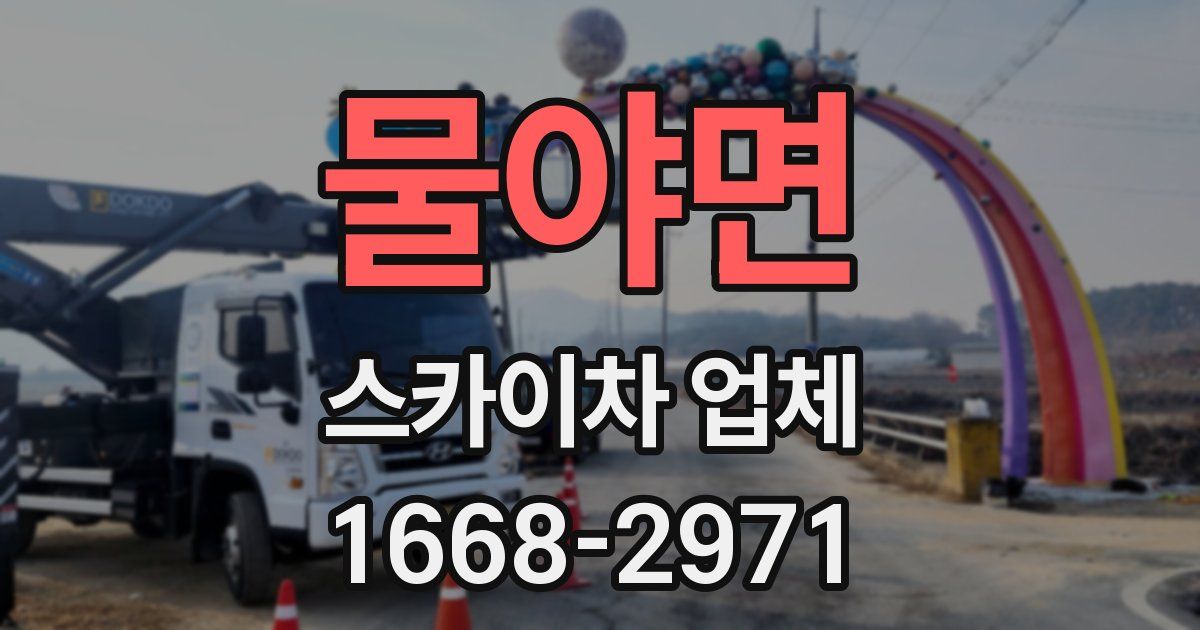 물야면 스카이차 업체