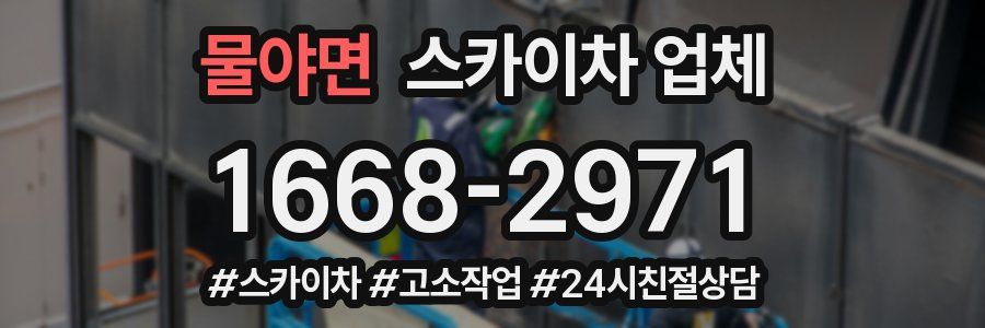 물야면 스카이차 업체