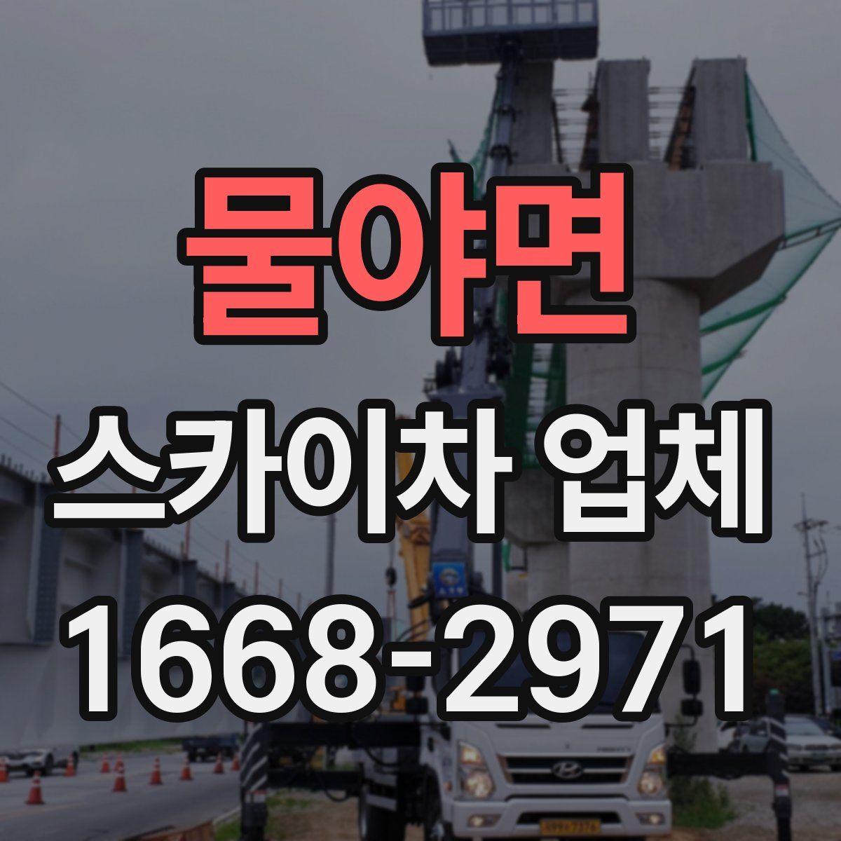 물야면 스카이차 업체