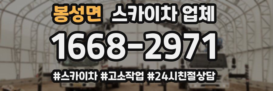 봉성면 스카이차 업체