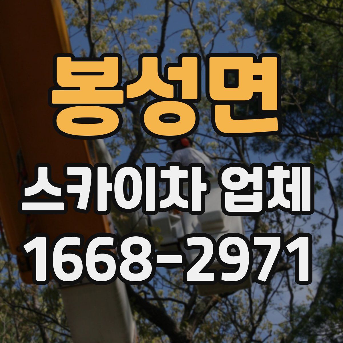 봉성면 스카이차 업체