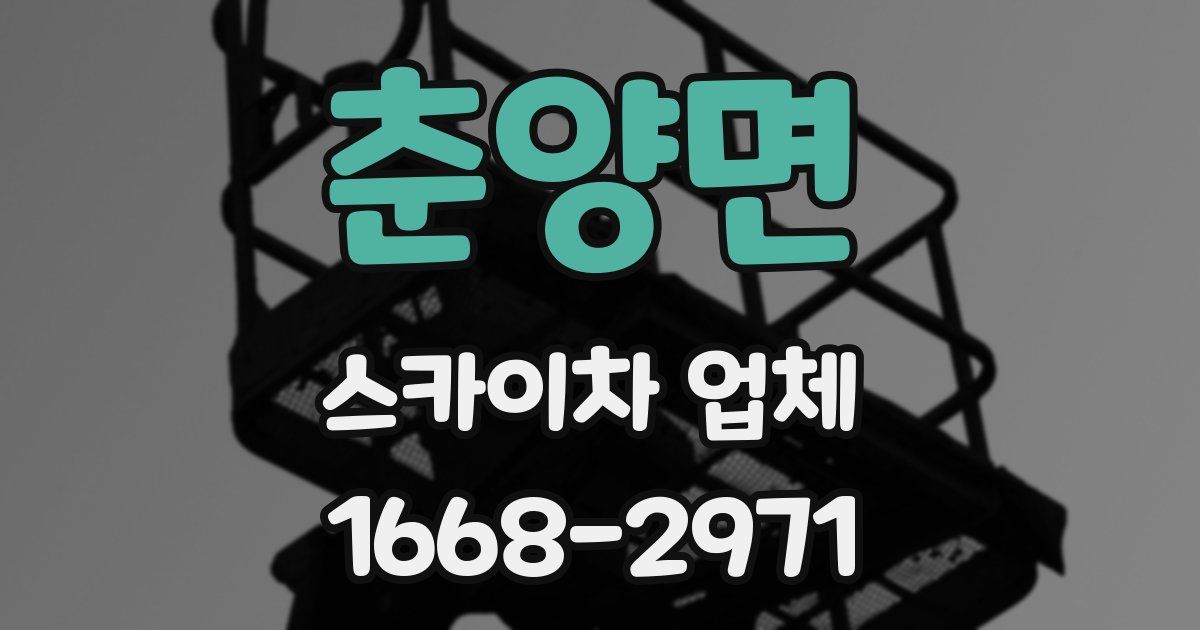 춘양면 스카이차 업체
