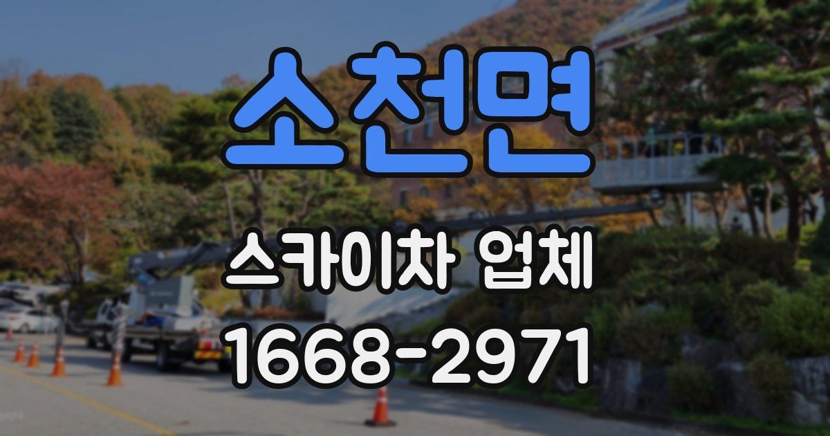 소천면 스카이차 업체