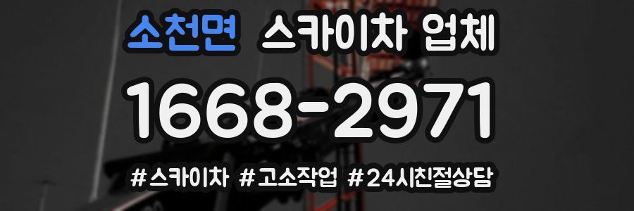 소천면 스카이차 업체