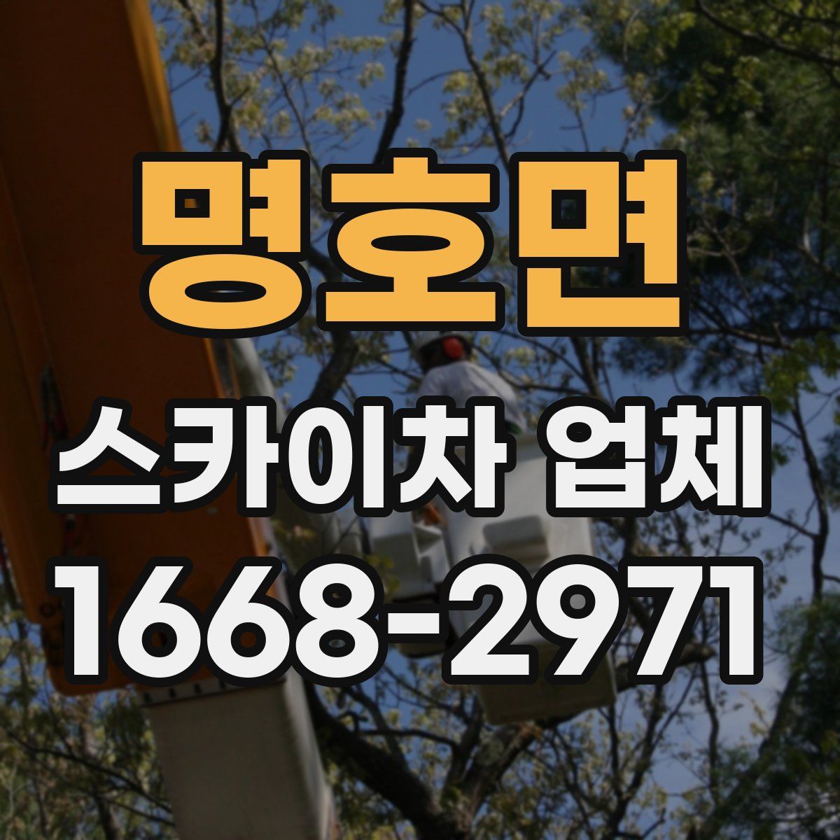 명호면 스카이차 업체