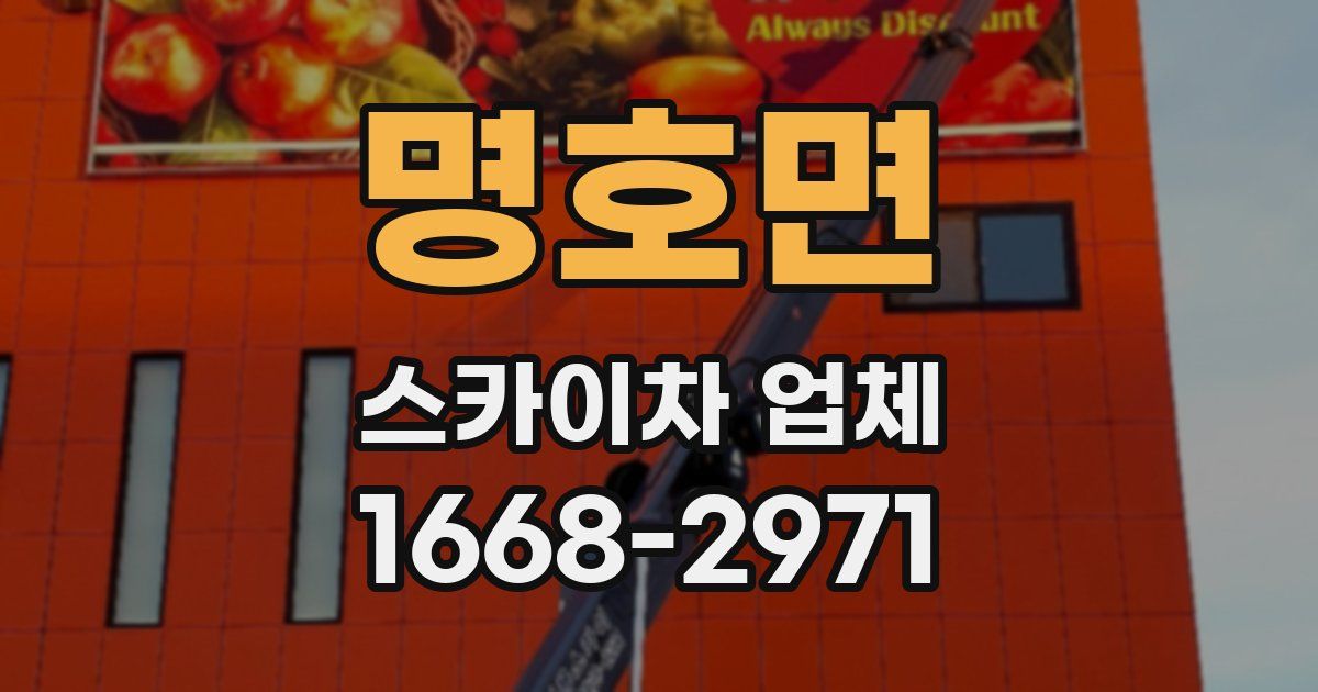 명호면 스카이차 업체