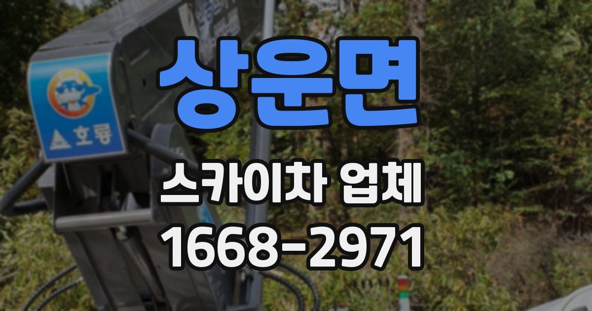 상운면 스카이차 업체