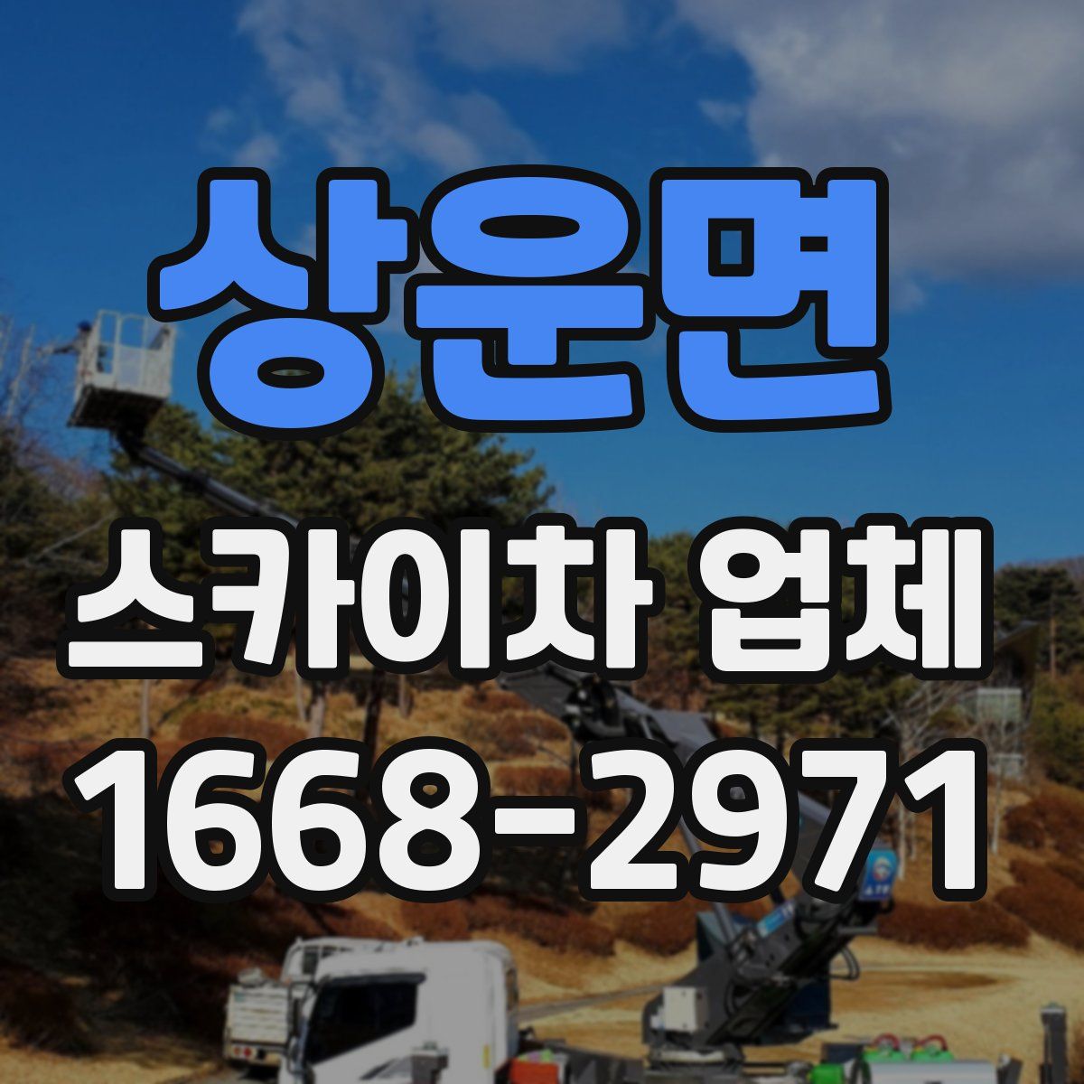 상운면 스카이차 업체
