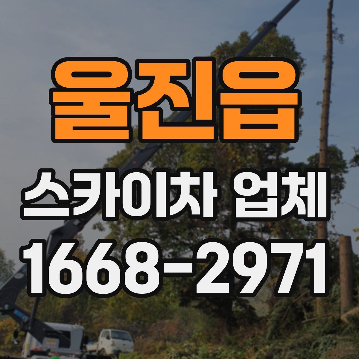 울진읍 스카이차 업체 사용 전 도로 여건도 확인해야 하는 이유