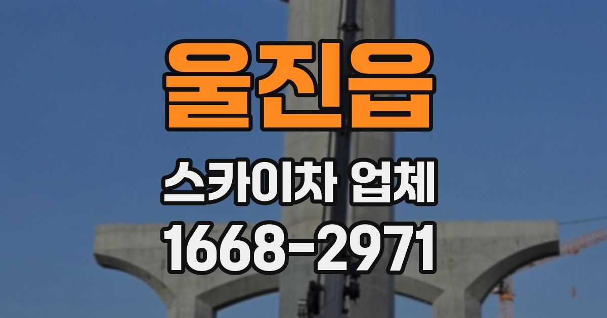 울진읍 스카이차 업체