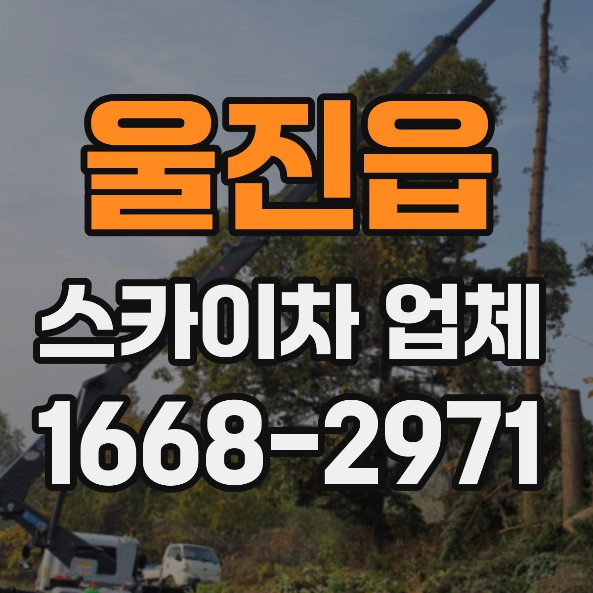 울진읍 스카이차 업체