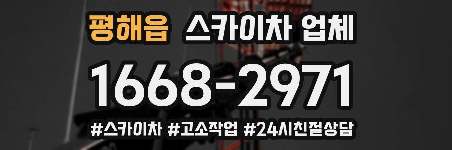 평해읍 스카이차 업체