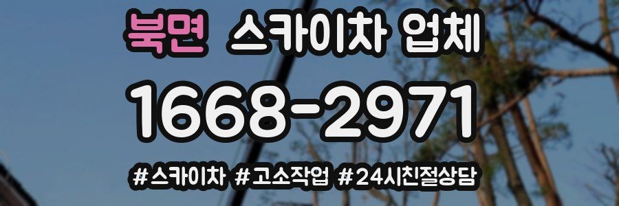 북면 스카이차 업체