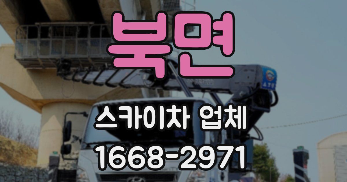 북면 스카이차 업체