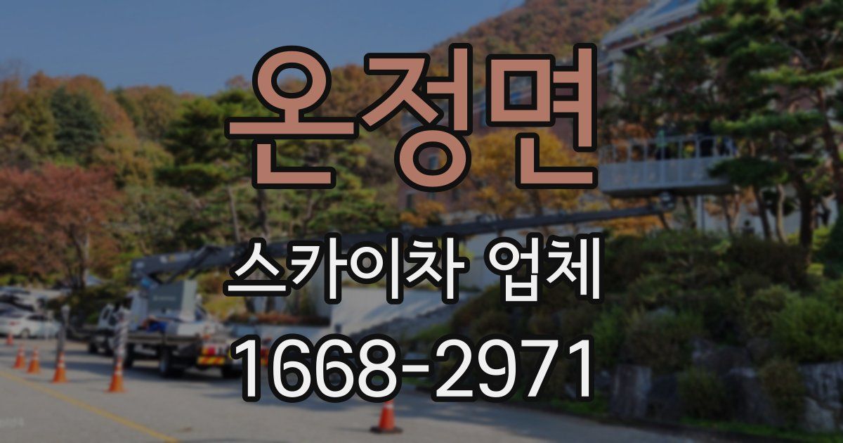 온정면 스카이차 업체