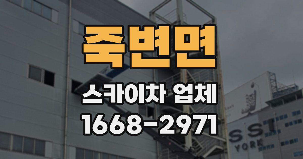 죽변면 스카이차 업체
