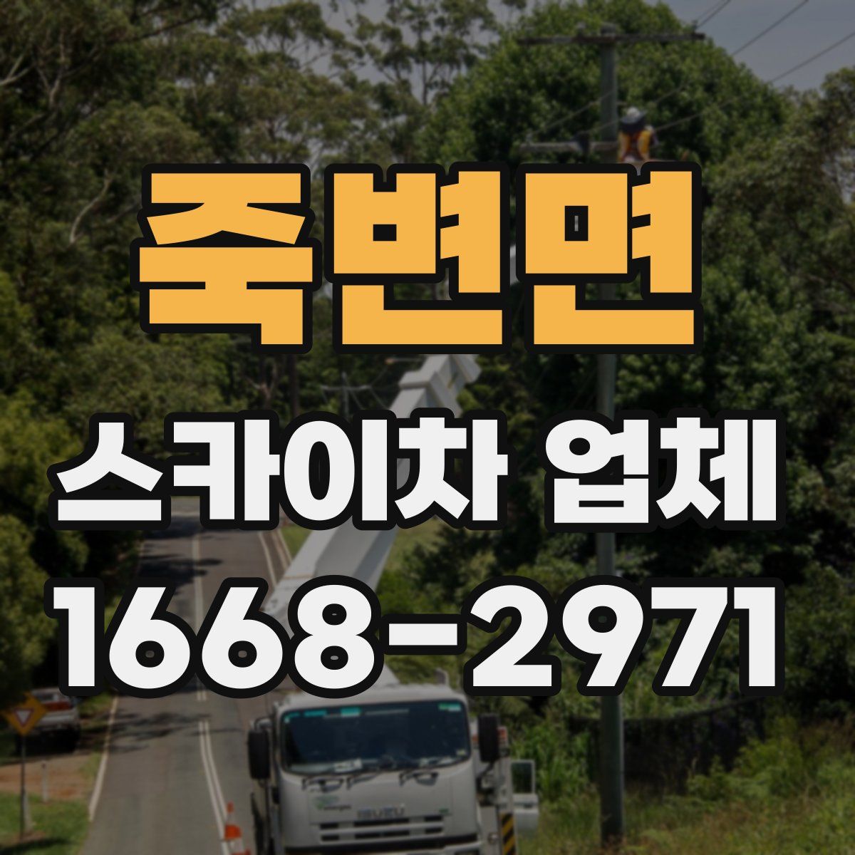 죽변면 스카이차 업체
