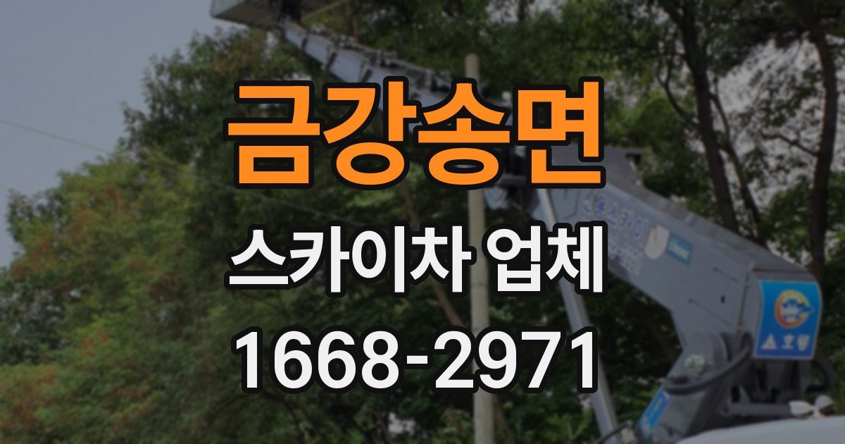금강송면 스카이차 업체