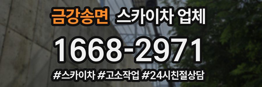 금강송면 스카이차 업체