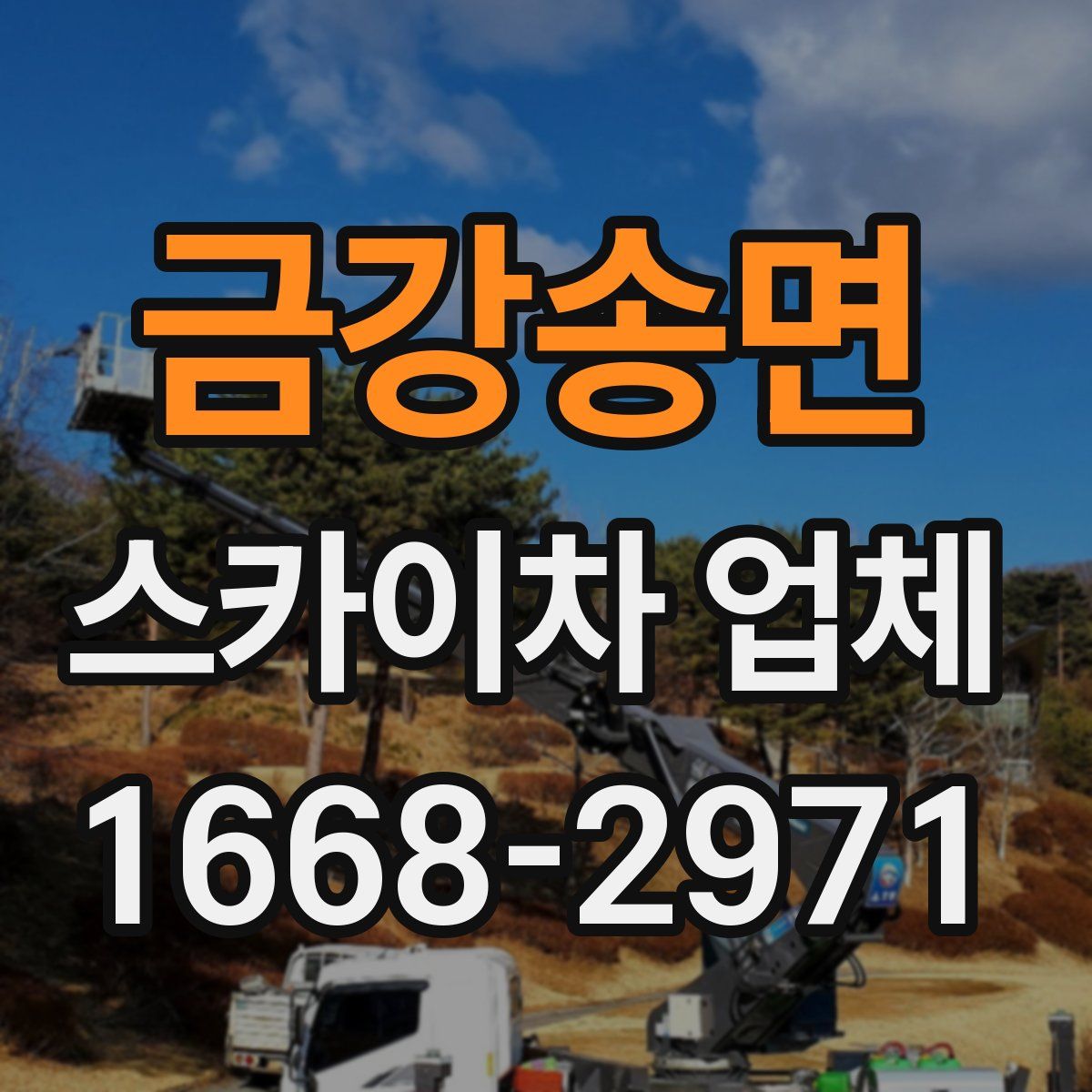 금강송면 스카이차 업체