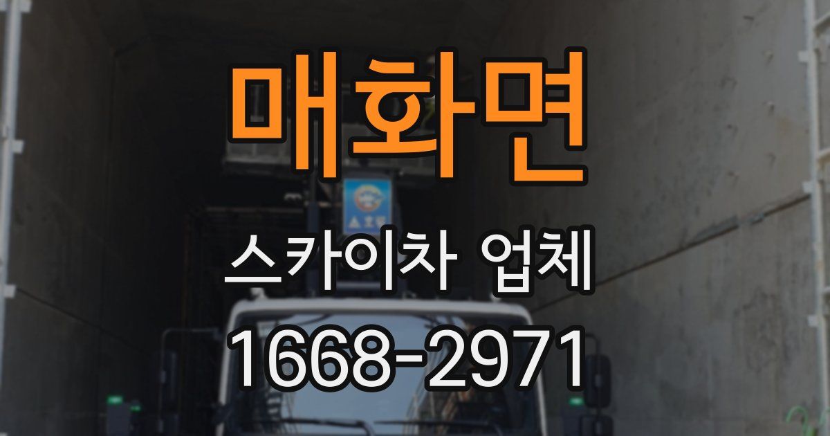 매화면 스카이차 업체