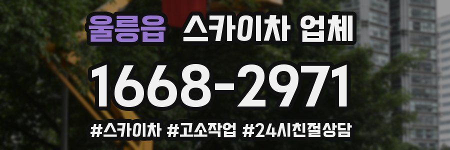 울릉읍 스카이차 업체