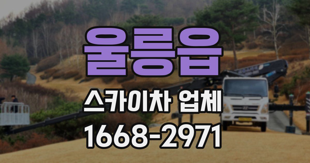 울릉읍 스카이차 업체