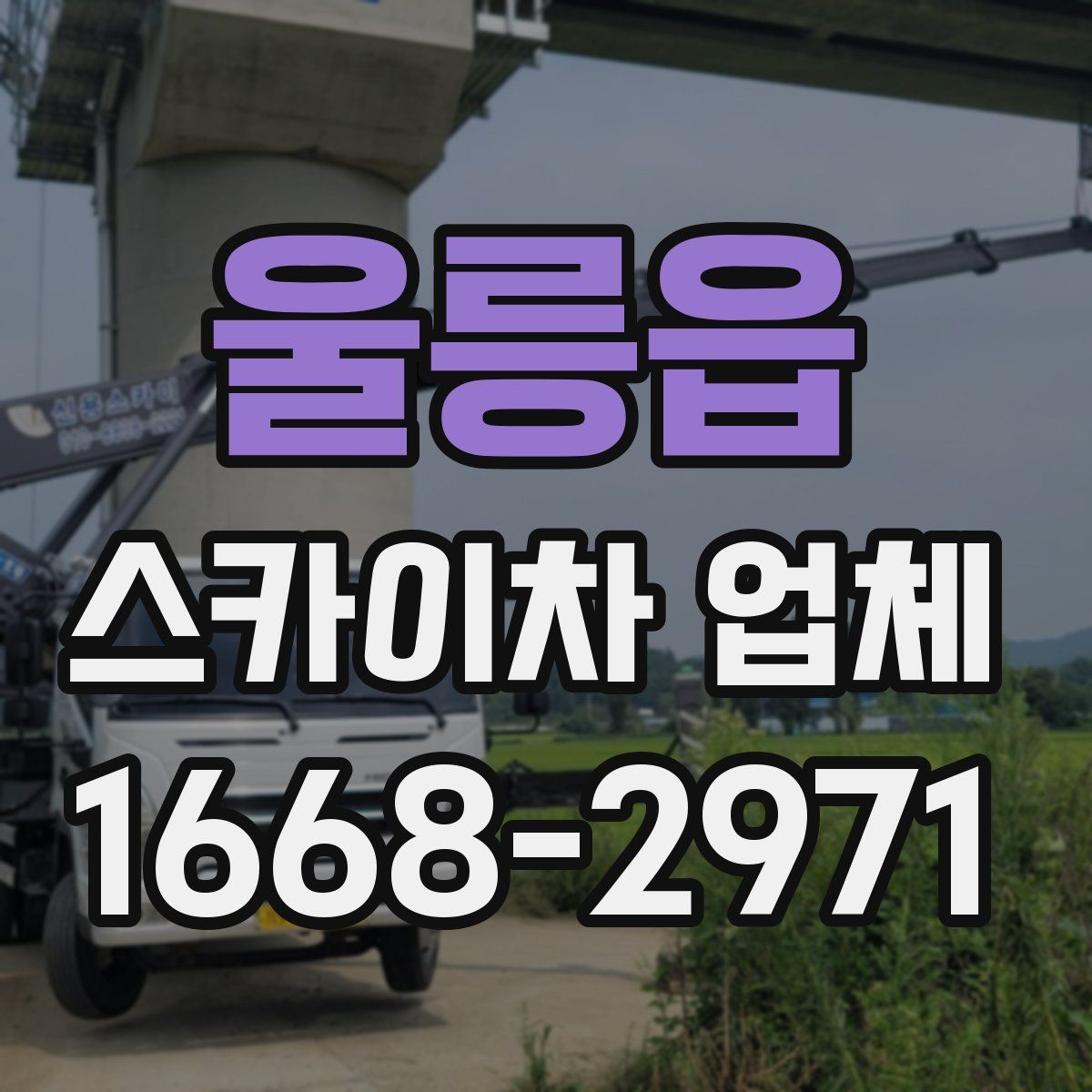 울릉읍 스카이차 업체
