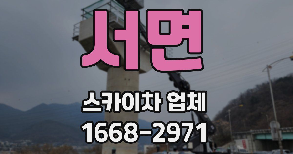 서면 스카이차 업체