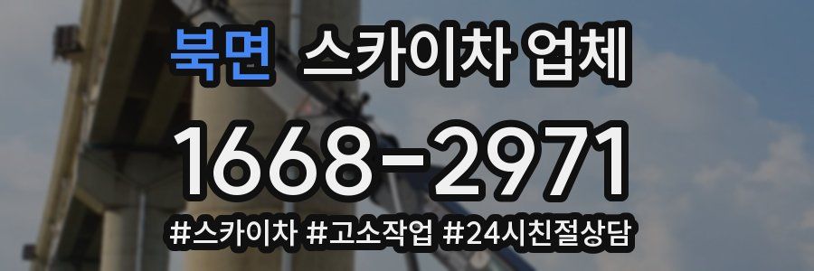 북면 스카이차 업체