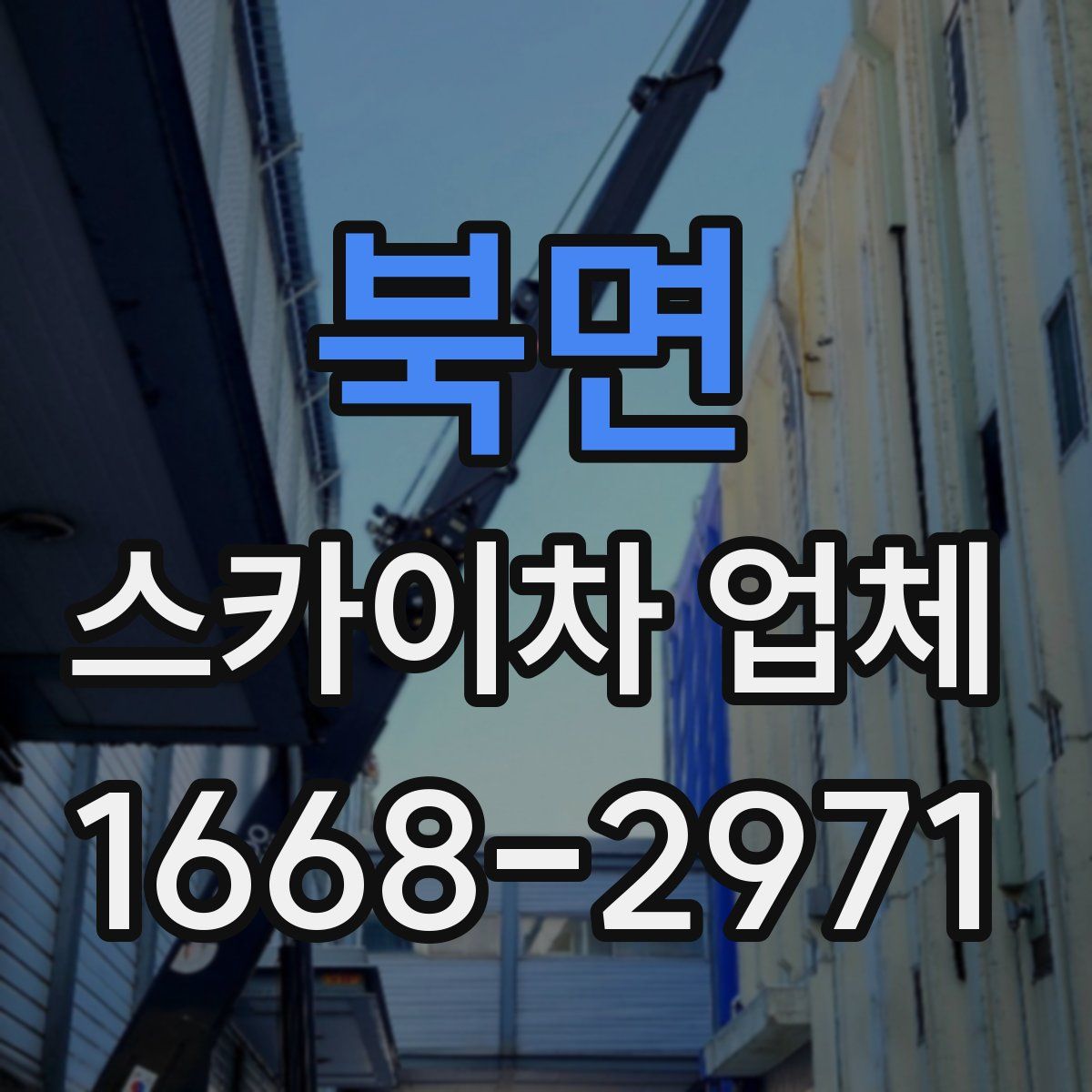 북면 스카이차 업체