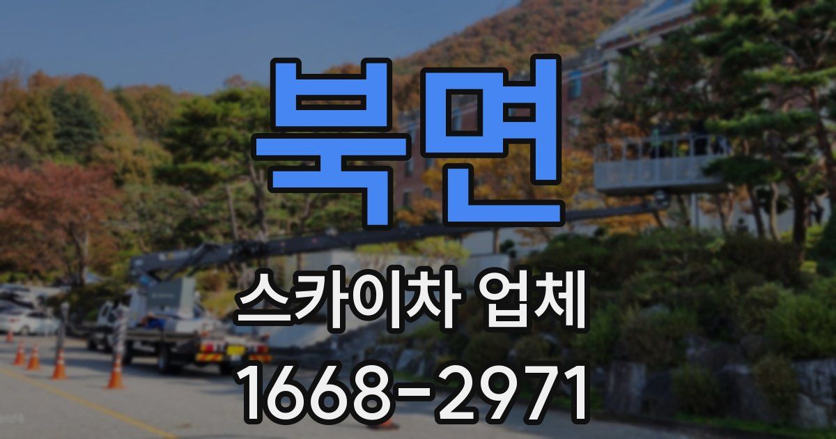 북면 스카이차 업체