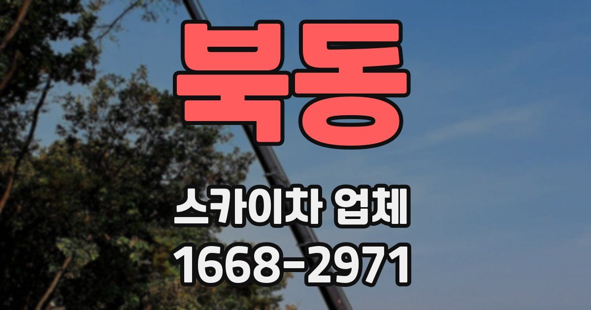 북동 스카이차 업체