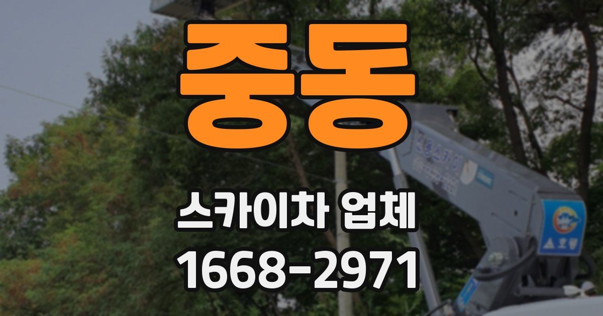 중동 스카이차 업체