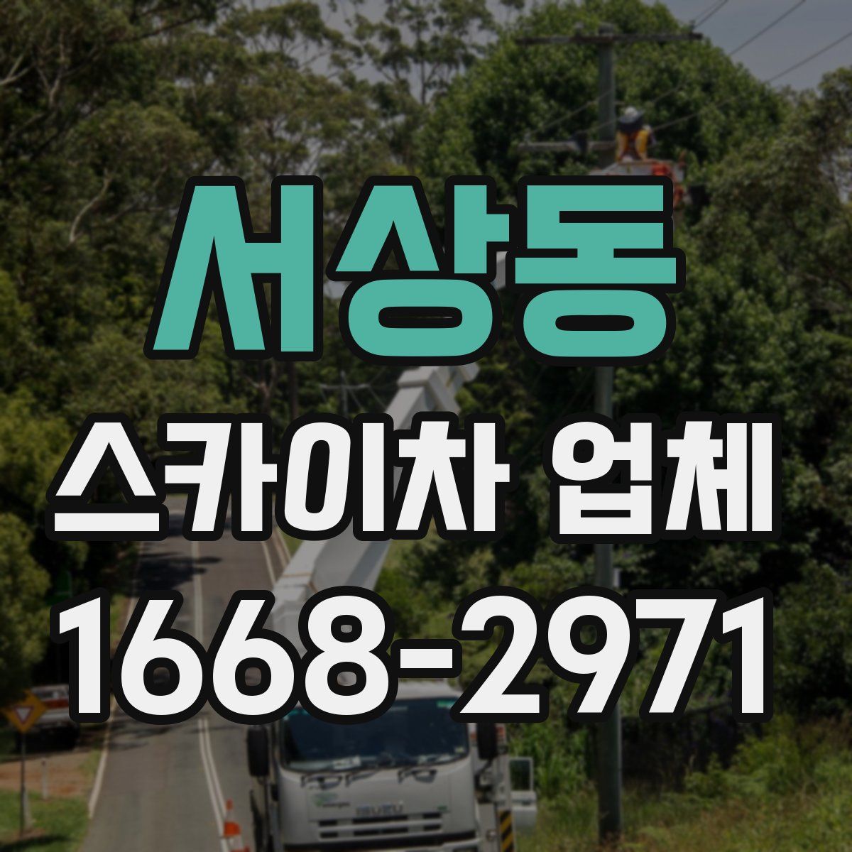 서상동 스카이차 업체