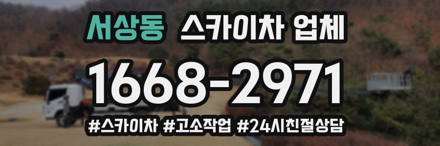 서상동 스카이차 업체