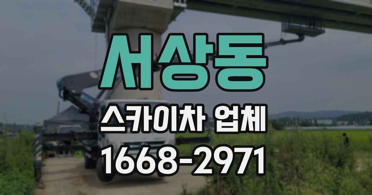 서상동 스카이차 업체