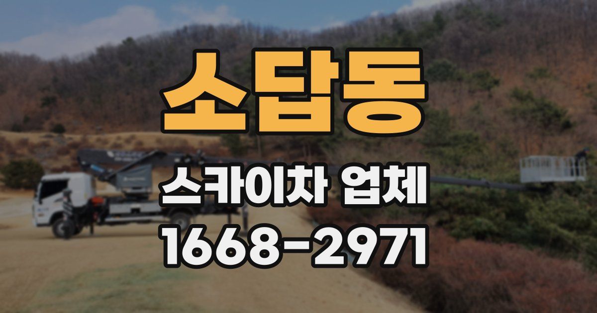 소답동 스카이차 업체