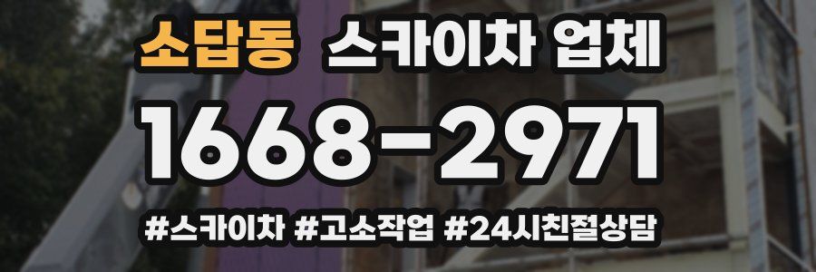 소답동 스카이차 업체