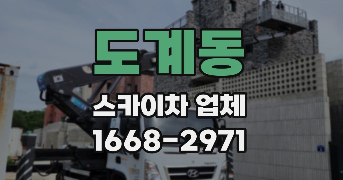 도계동 스카이차 업체