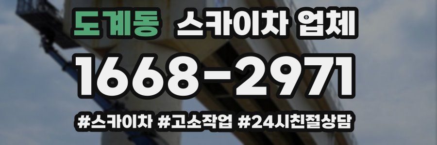 도계동 스카이차 업체
