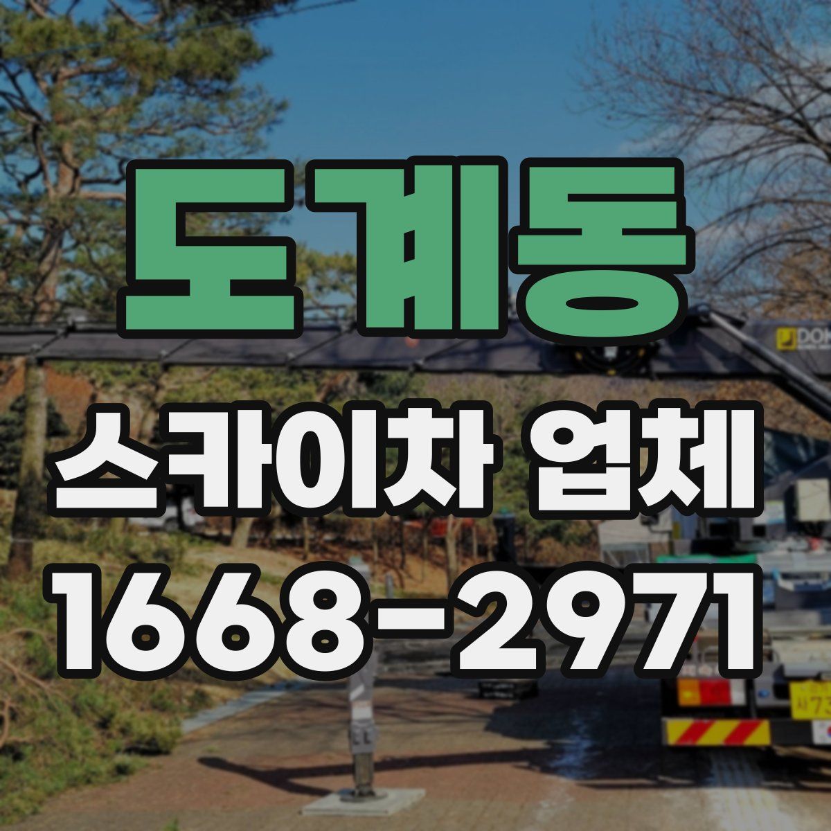 도계동 스카이차 업체